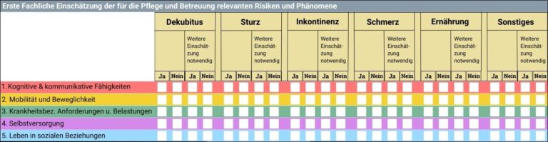 Sis Themenfeld 2 Beispiele Strukturierte Informationssammlung: Pflegeplanung mit der SIS