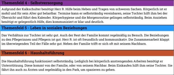 Sis Themenfeld 2 Beispiele Strukturierte Informationssammlung: Pflegeplanung mit der SIS