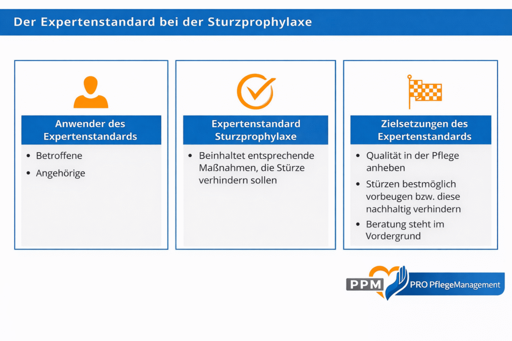 Expertenstandard in der Sturzprophylaxe ist dabei in sechs Ebenen untergliedert
