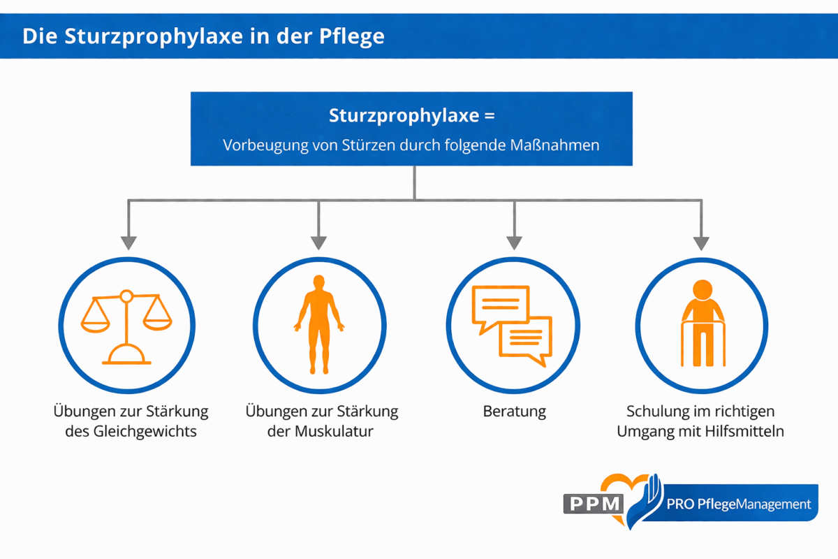 sturzprophylaxe-in-der-pflege-dnqp-expertenstandard